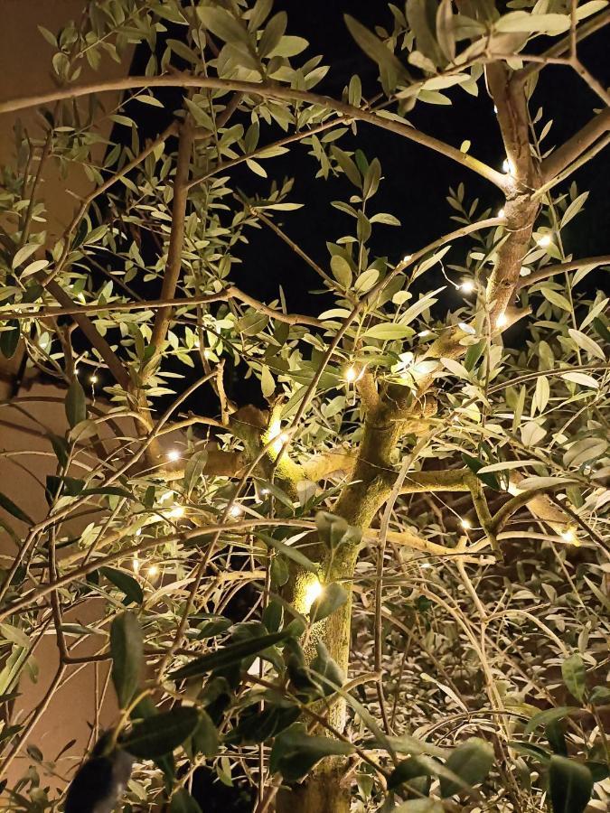 Bb Letterario Bed & Breakfast Ravenna Exterior foto